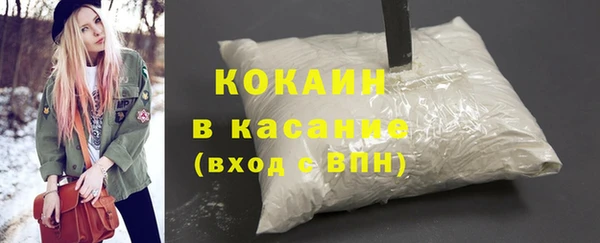 гидра Горняк