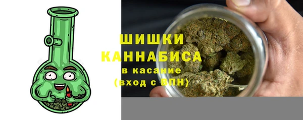 гидра Горняк