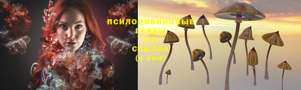 гидра Горняк