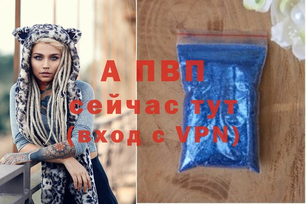 гидра Горняк