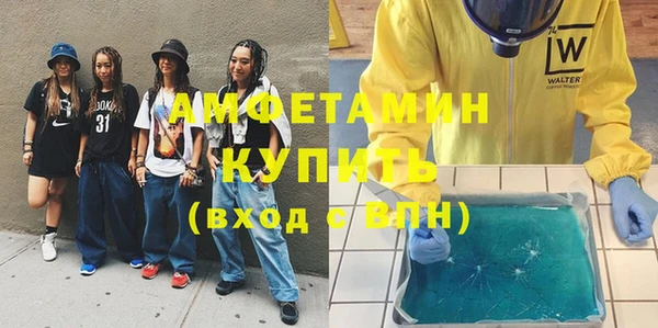 гидра Горняк