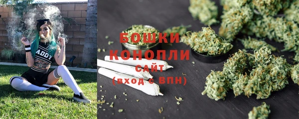 гидра Горняк