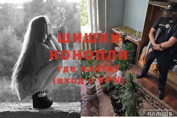 гидра Горняк