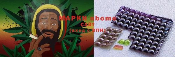 гидра Горняк