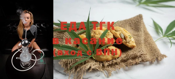 гидра Горняк