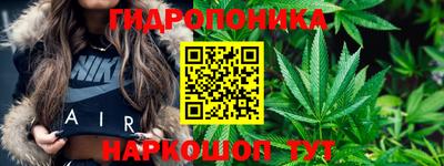 соль ск Балахна