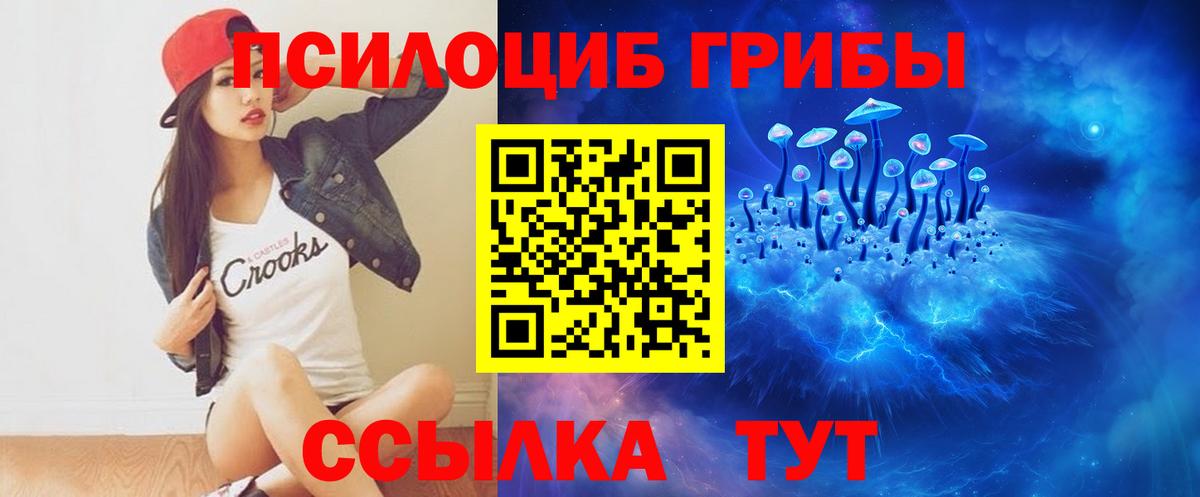 Псилоцибиновые грибы прущие грибы Десногорск
