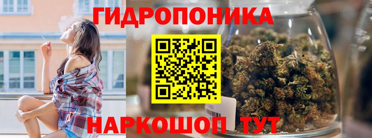 Бошки марихуана семена  МАРИХУАНА планчик  Десногорск  Марихуана SATIVA & INDICA  Вход с VPN 